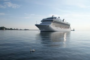 water, Swans, Cruise, Ship