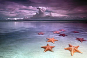 starfish, Ocean, Reflection, Tropical, Sand, Sky, Clouds