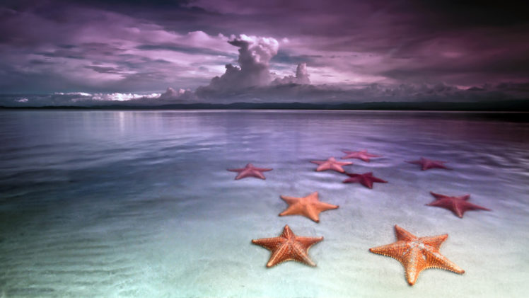 starfish, Ocean, Reflection, Tropical, Sand, Sky, Clouds HD Wallpaper Desktop Background