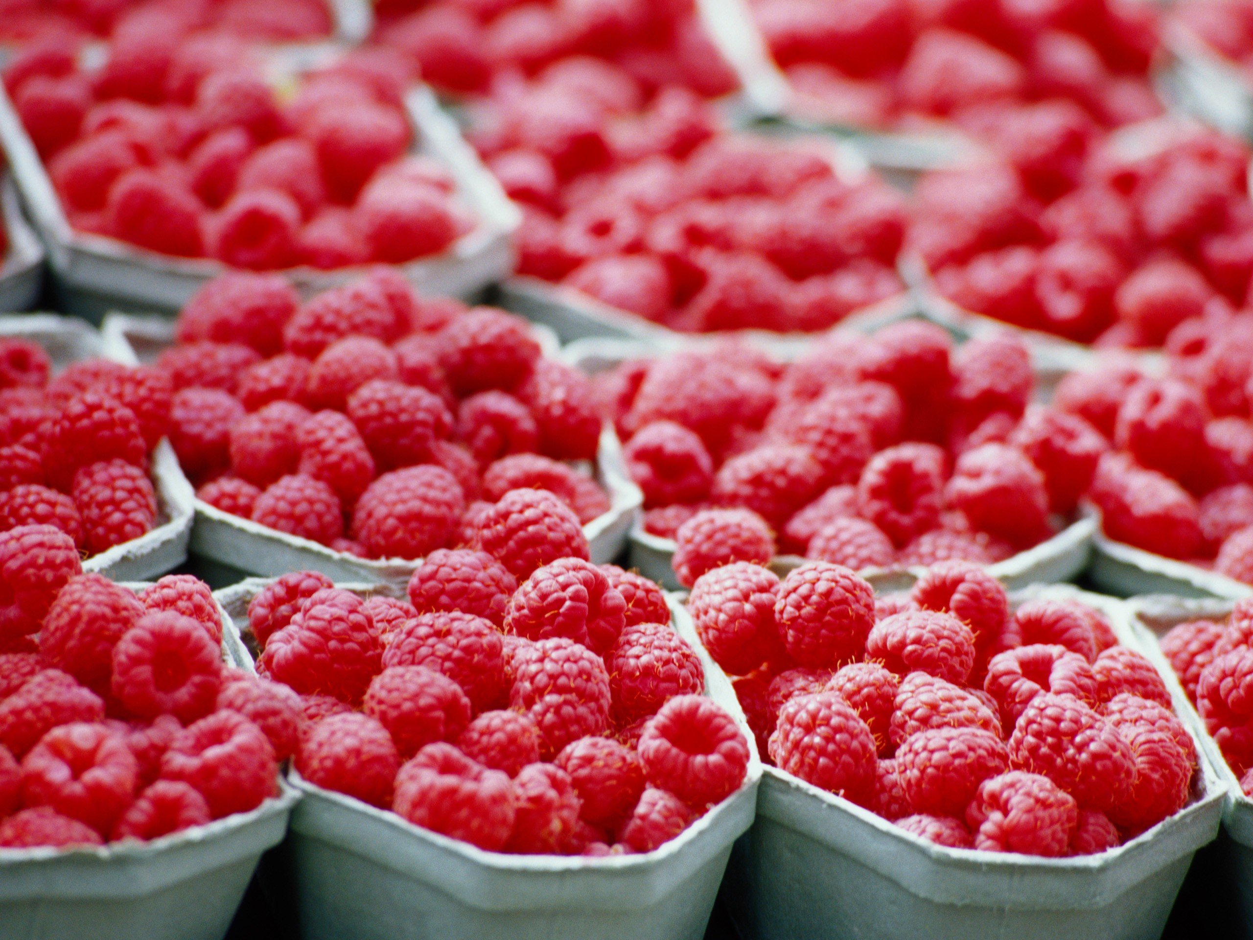 macro, Raspberries Wallpaper