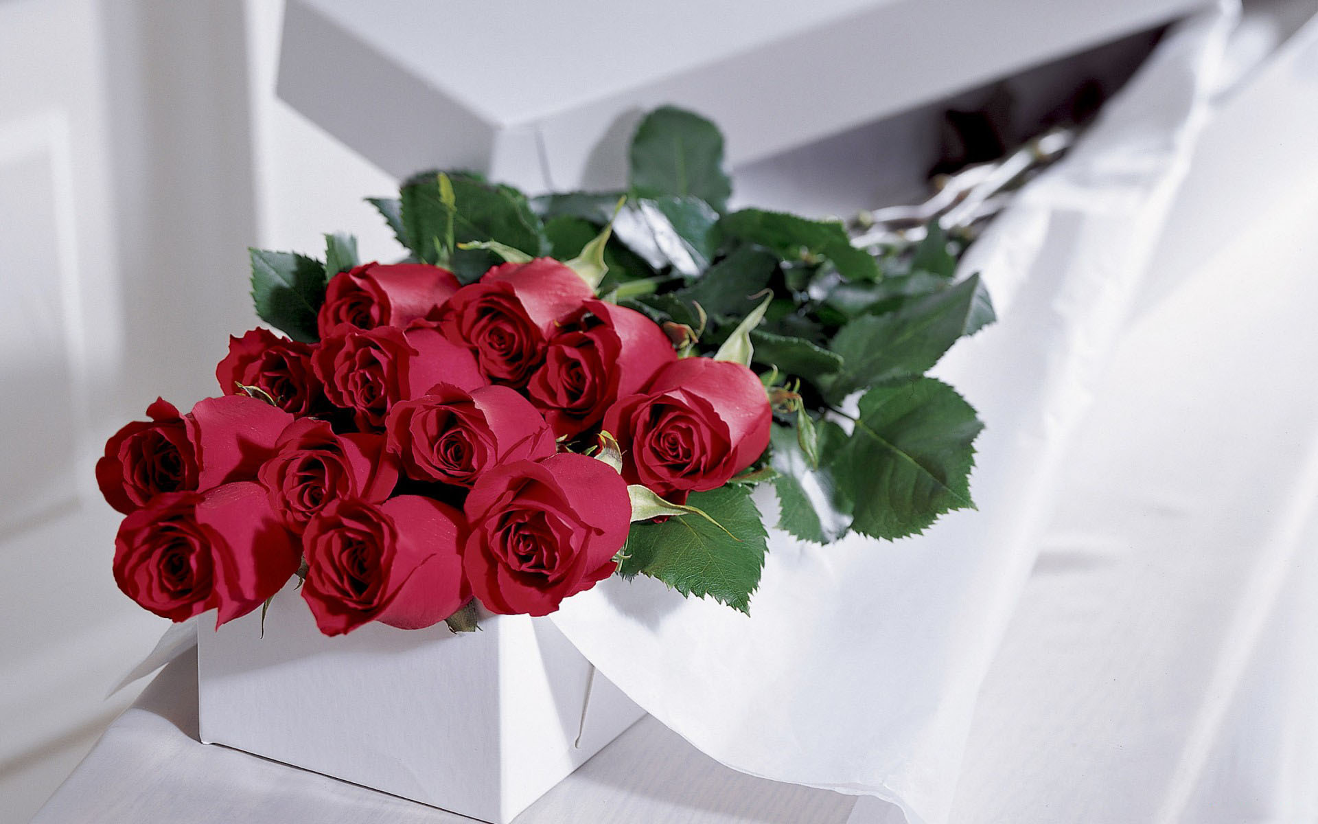 love, Romance, Mood, Roses, Red, Bouquet Wallpaper