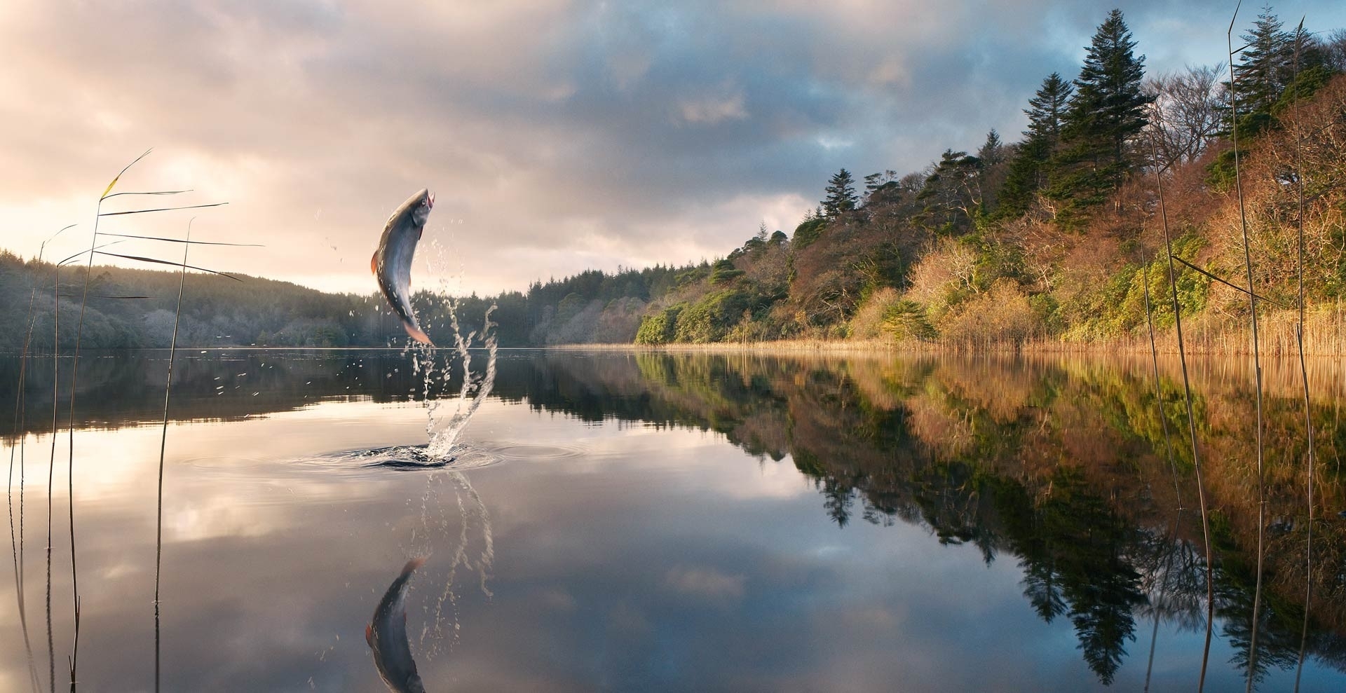 lakes, Water, Sunrise, Sunset, Sky, Trees, Shore, Forest, Fishing, Sports Wallpaper