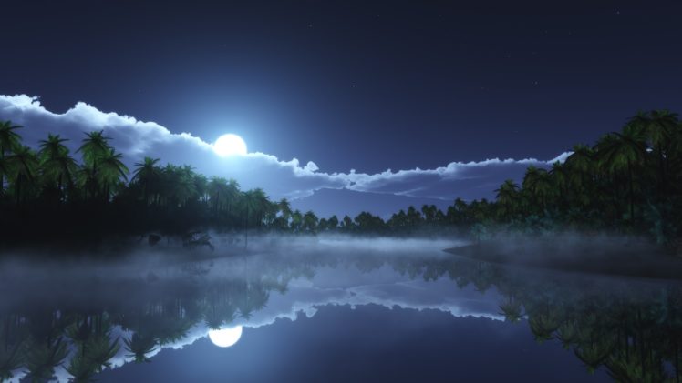 tropic, Cold, Night HD Wallpaper Desktop Background