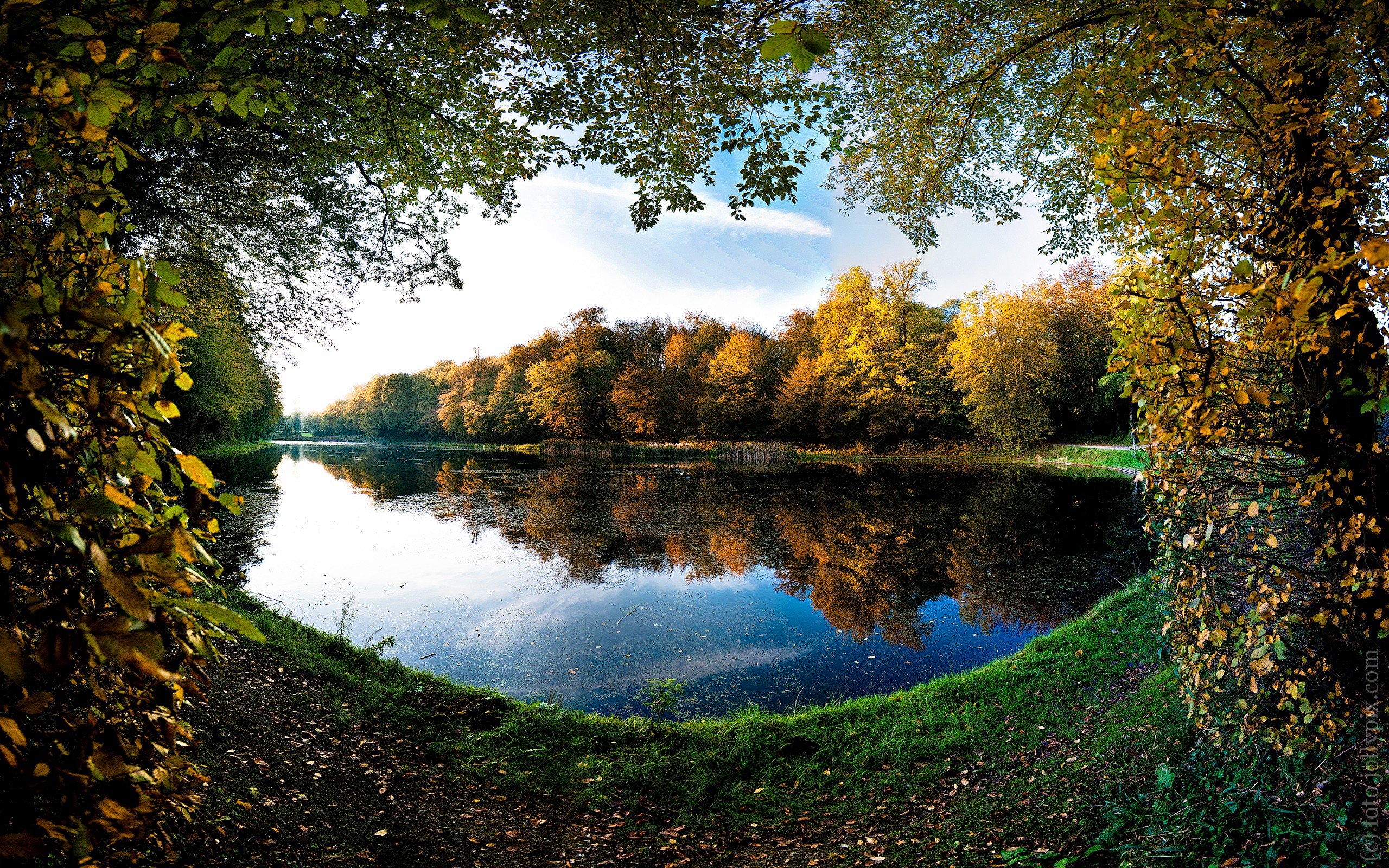 landscapes, Trees, Autumn, Leaves, Ponds, Frames, Lakes Wallpaper