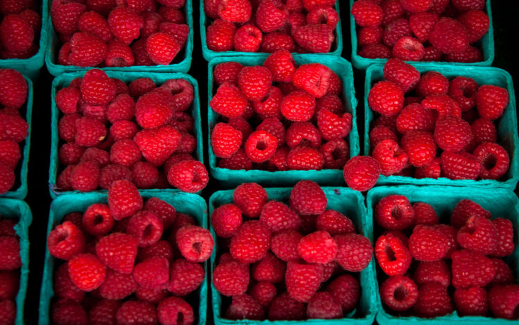 raspberry, Berries, Red HD Wallpaper Desktop Background