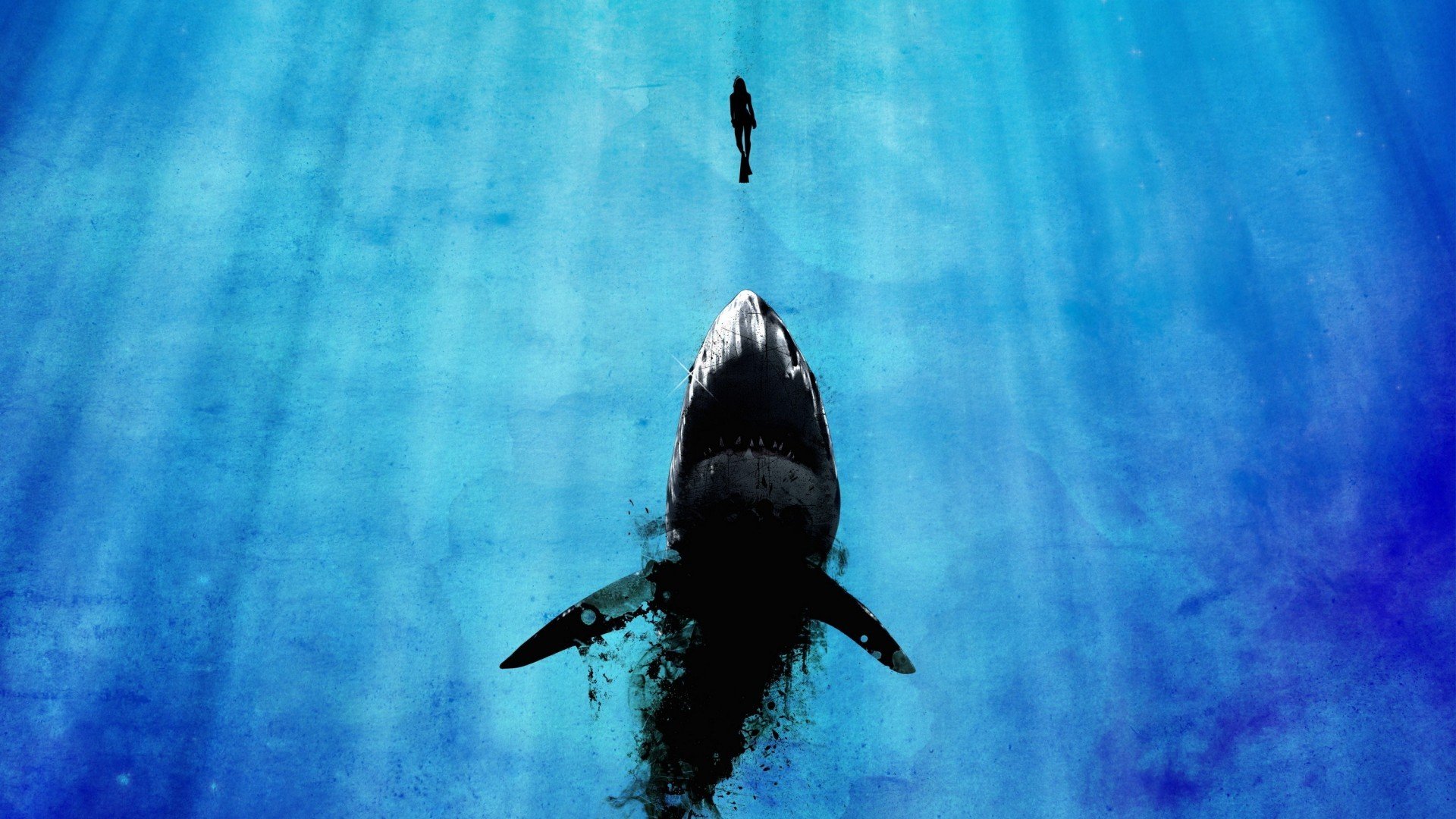 sharks, Artwork Wallpaper