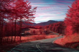 red, Nature, Road