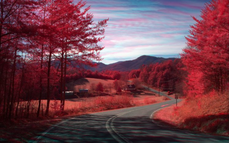red, Nature, Road HD Wallpaper Desktop Background