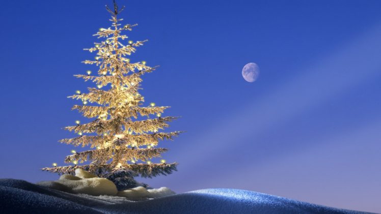 trees, Germany, Christmas, Bavaria HD Wallpaper Desktop Background