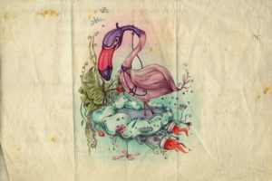 flamingos, Artwork, Drawings