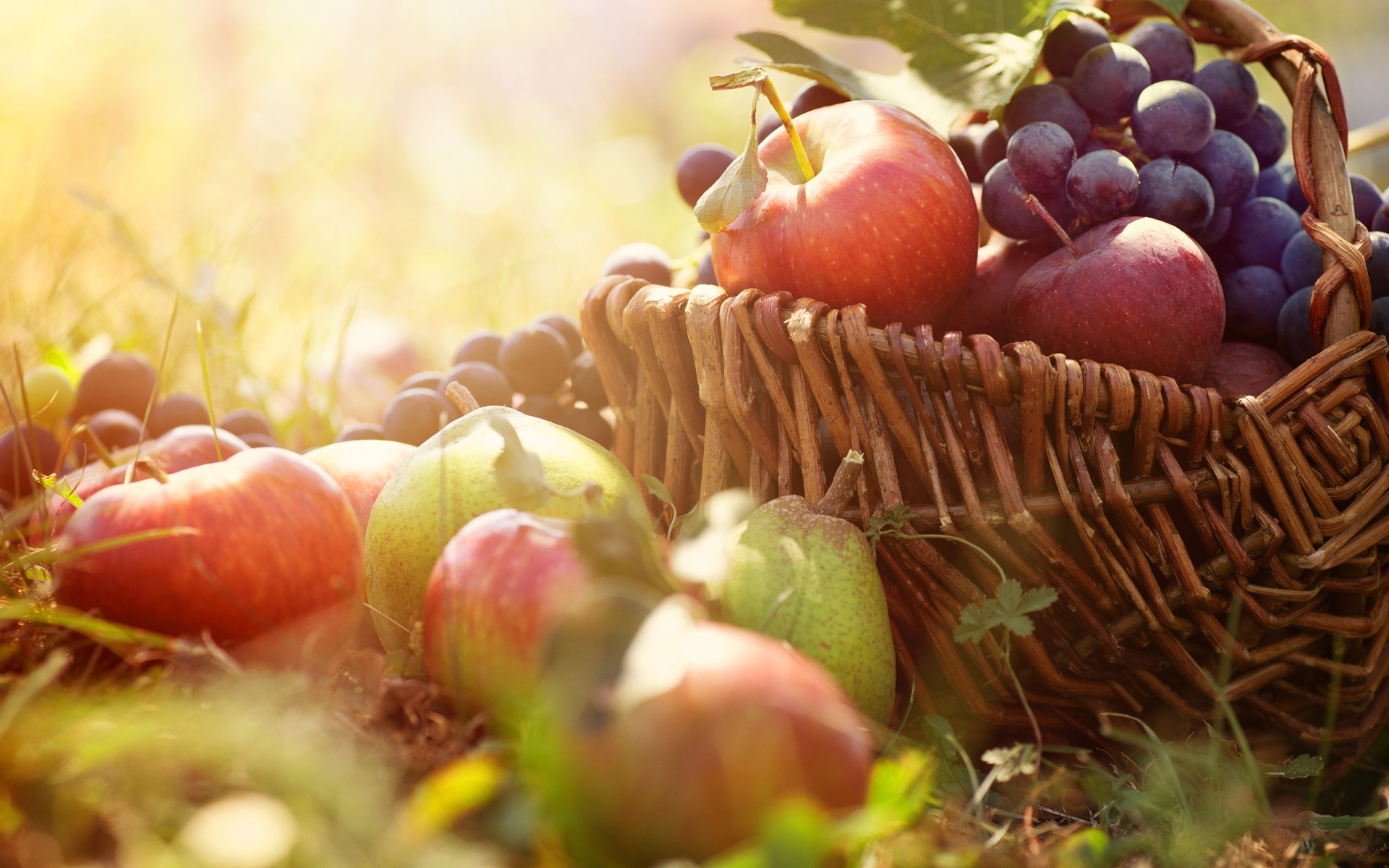 apples, Grapes, Pear, Basket, Still, Life Wallpaper