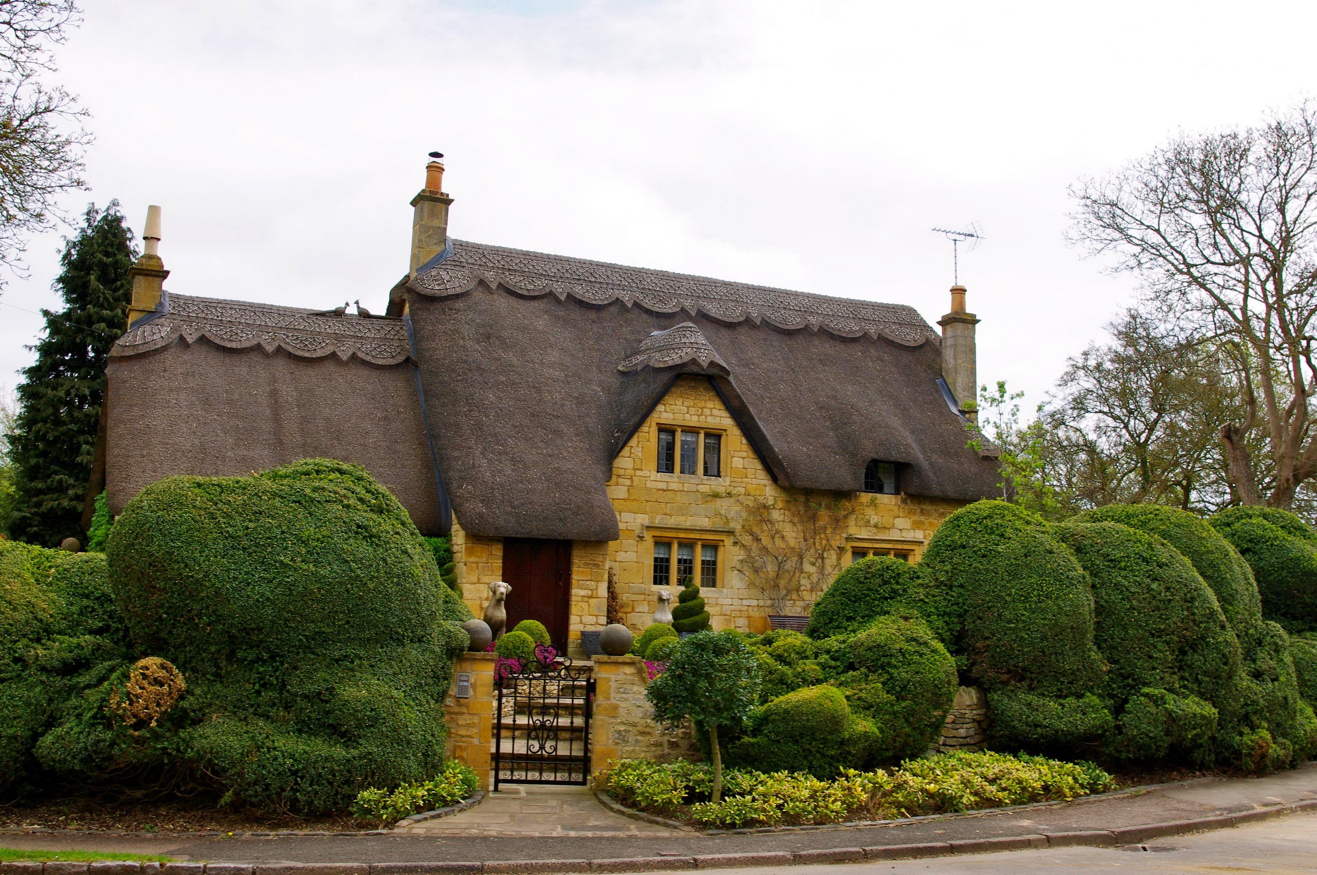 house, England, Cornwall, Shrubs Wallpaper