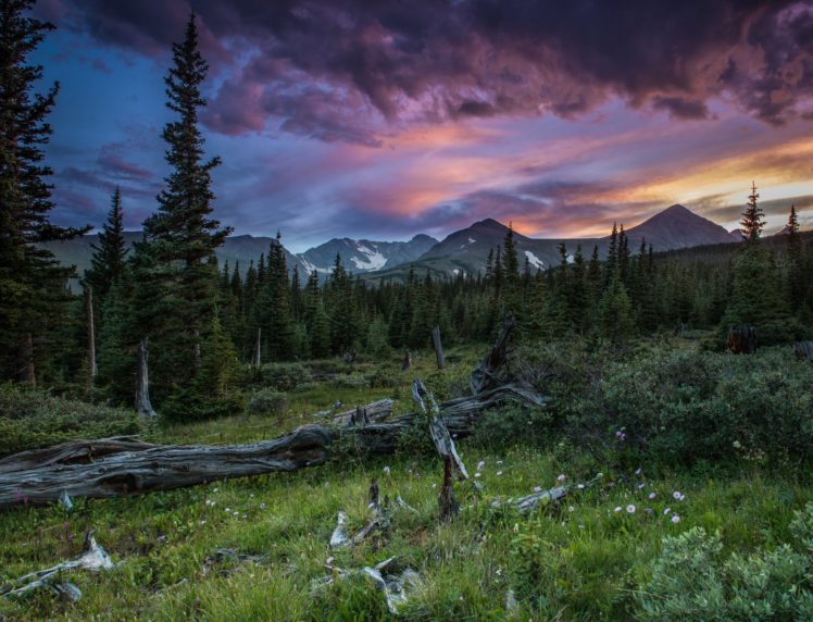 mountains, Summer, Forest, Sunset HD Wallpaper Desktop Background