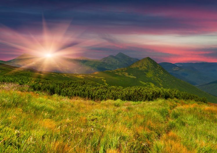 mountains, Slope, Trees, Field, Grass HD Wallpaper Desktop Background