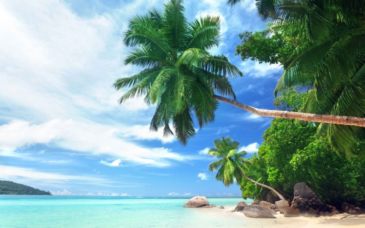 tropical, Beach HD Wallpaper Desktop Background