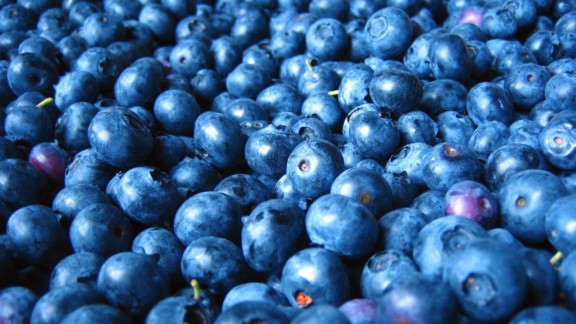 fruits, Blueberries Wallpaper