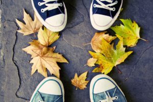 autumn, Shoes, Converse, Fallen, Leaves