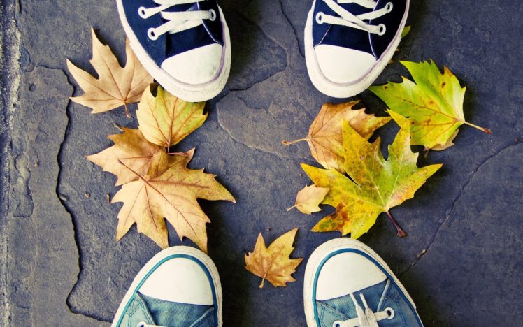 autumn, Shoes, Converse, Fallen, Leaves HD Wallpaper Desktop Background