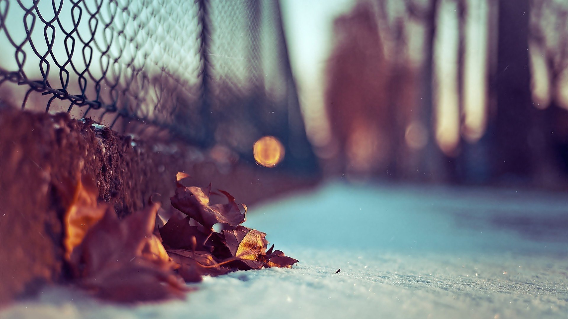 nature, Snow, Autumn, Leaves Wallpaper