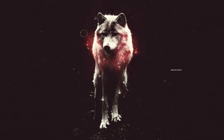 photo, Manipulation, Wolves HD Wallpaper Desktop Background