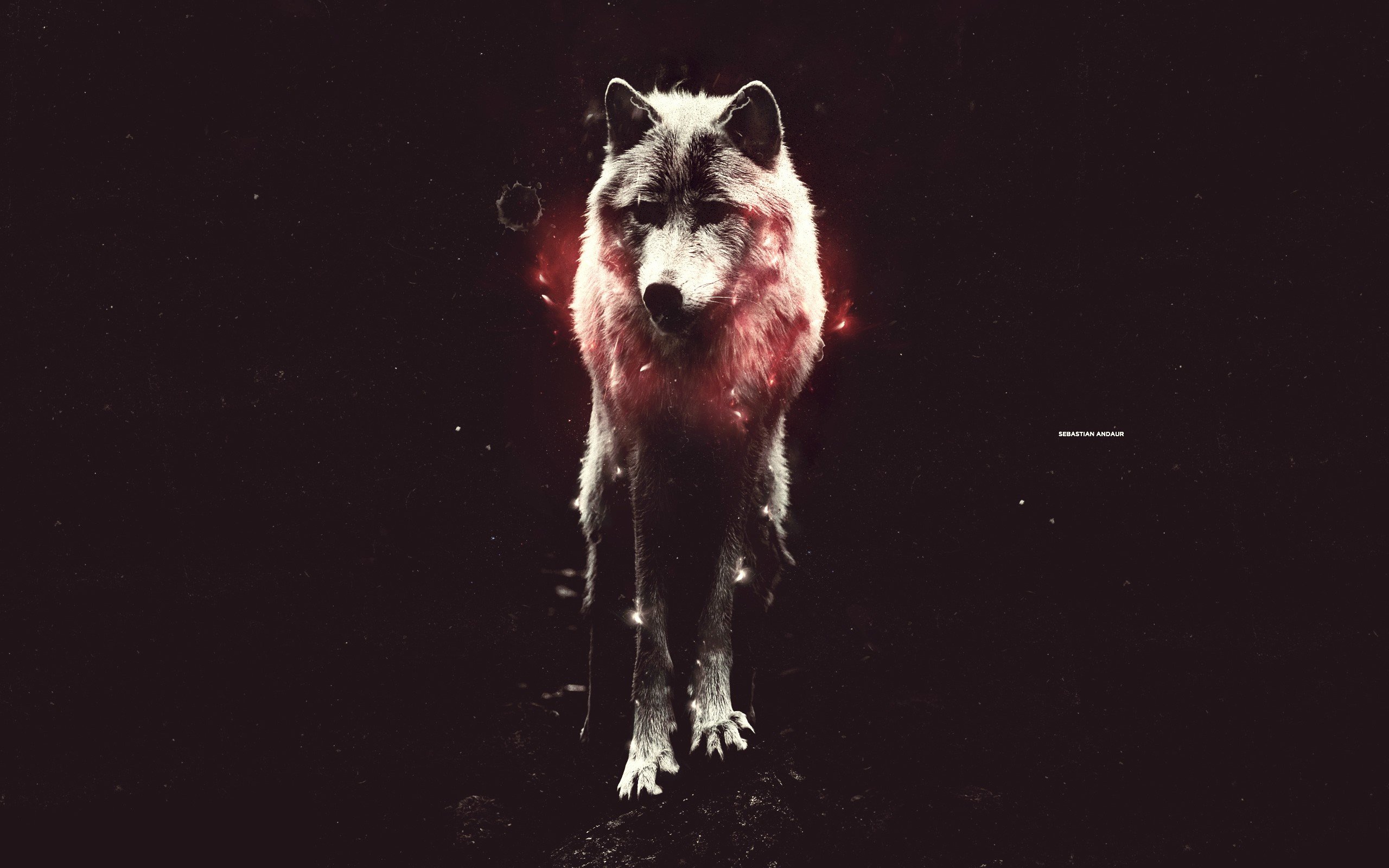 photo, Manipulation, Wolves Wallpaper