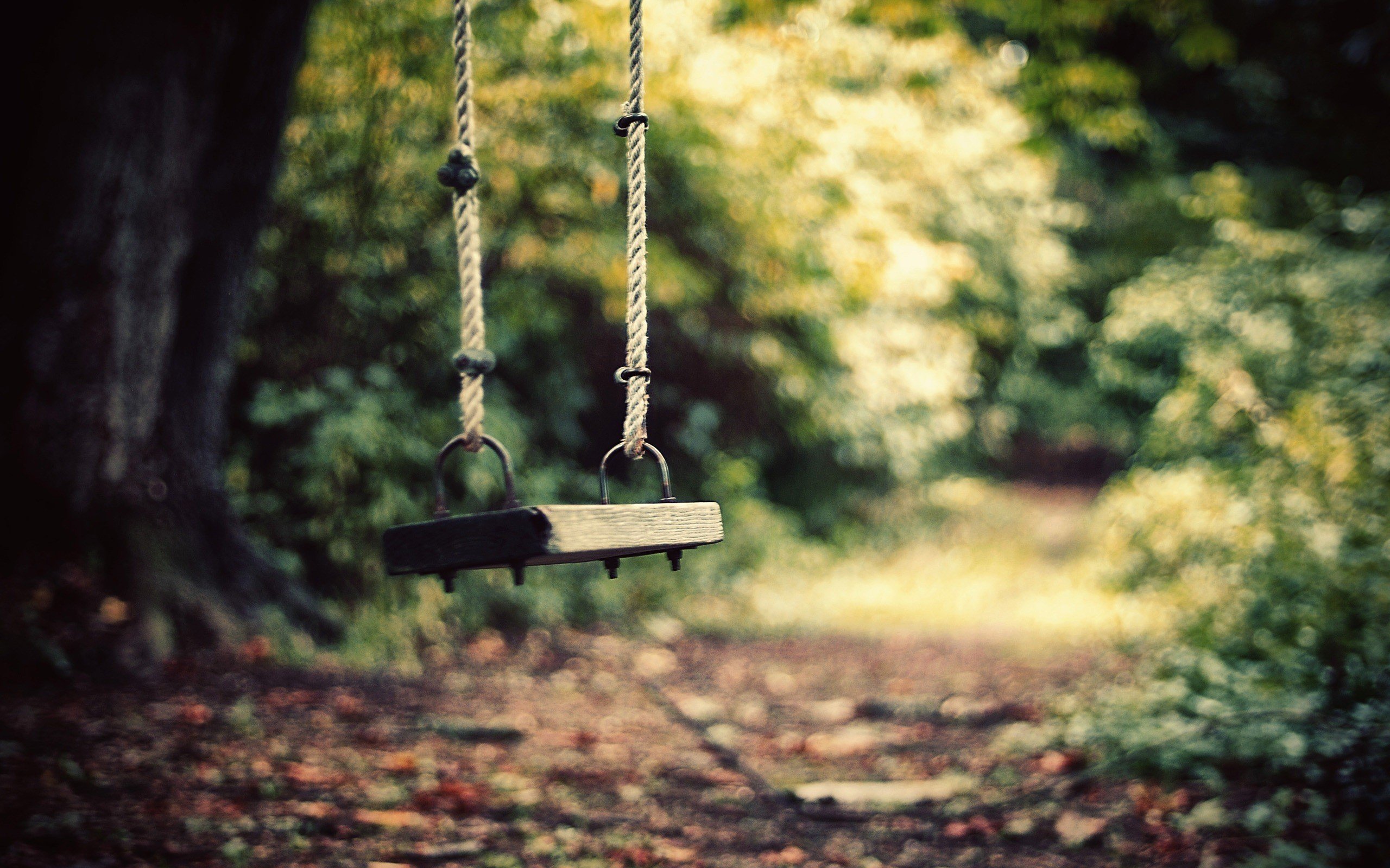 close up, Trees, Paths, Outdoors, Swings, Bokeh Wallpaper