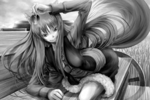 spice, And, Wolf, Nekomimi, Animal, Ears, Holo, The, Wise, Wolf