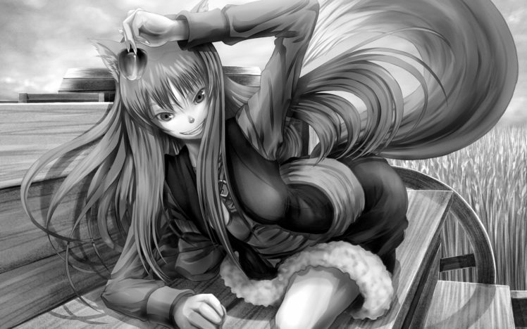 spice, And, Wolf, Nekomimi, Animal, Ears, Holo, The, Wise, Wolf HD Wallpaper Desktop Background