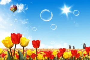 fantasy, Nature, Bubbles, Tulips, Drawings