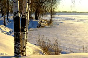 landscapes, Trees, Shore, Forest, Winter, Snow, Ice, Frozen, People, Mood, Sunrise, Sunset