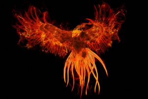 birds, Fire, Phoenix, Fantasy, Art, Digital, Art, Artwork, Mythology