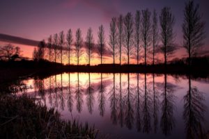 england, Trees, Row, Lake, Reflection, Night, Sunset, Sky, Clouds