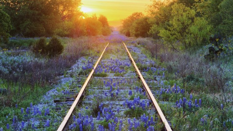 railroad, Mood, Flowers, Nature, Distance, Landscapes, Sunset, Sunrise, Tracks HD Wallpaper Desktop Background