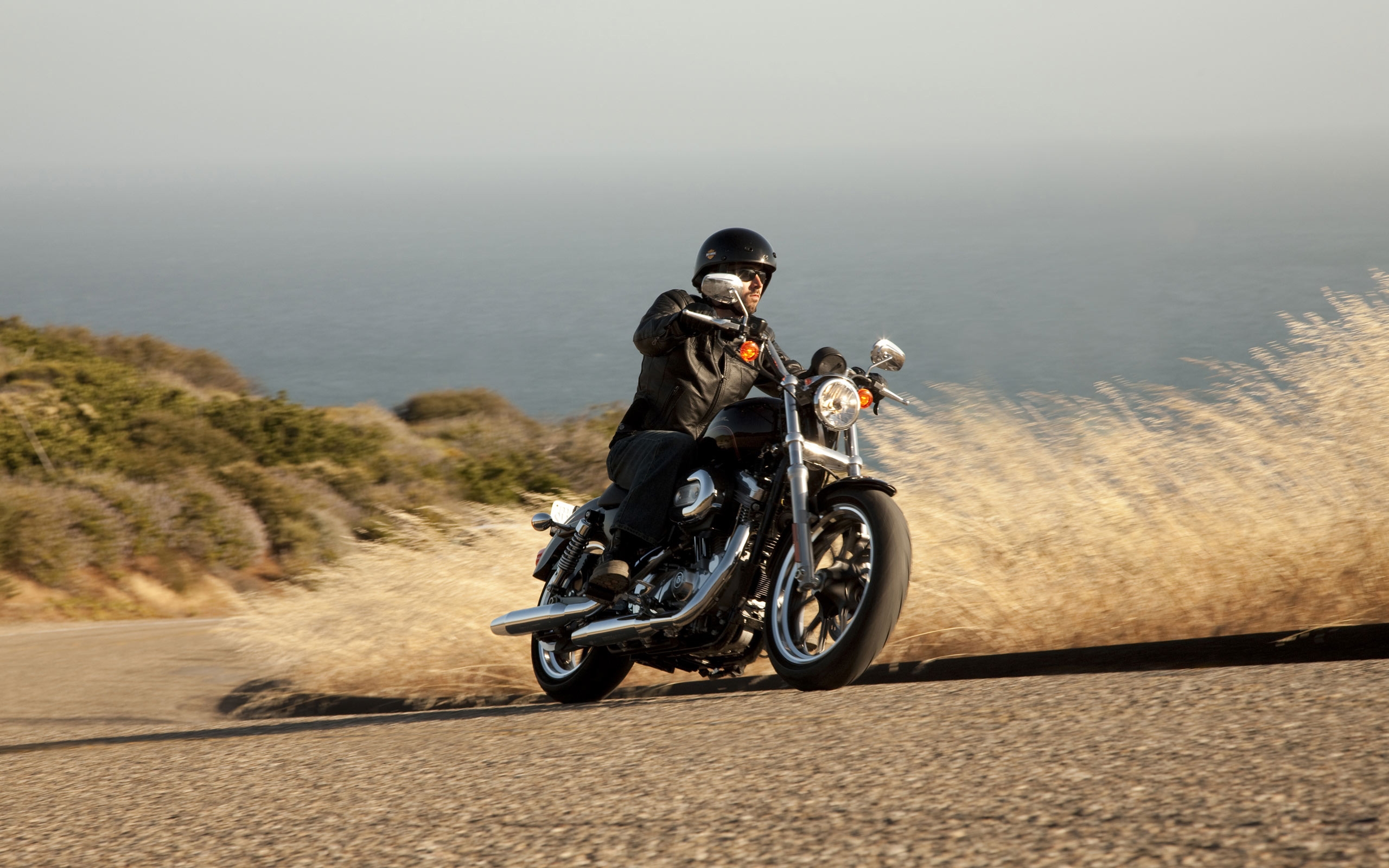 harley, Davidson, Xl883, Superlow Wallpaper