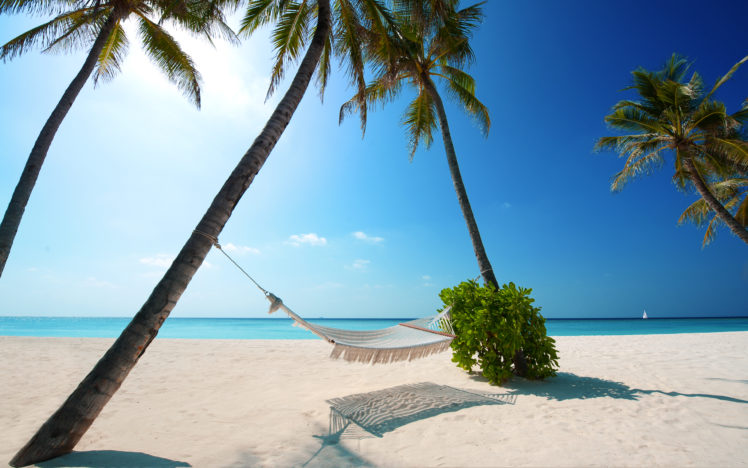 tropical, Ocean, Sea, Palm, Sunlight, Hammock HD Wallpaper Desktop Background