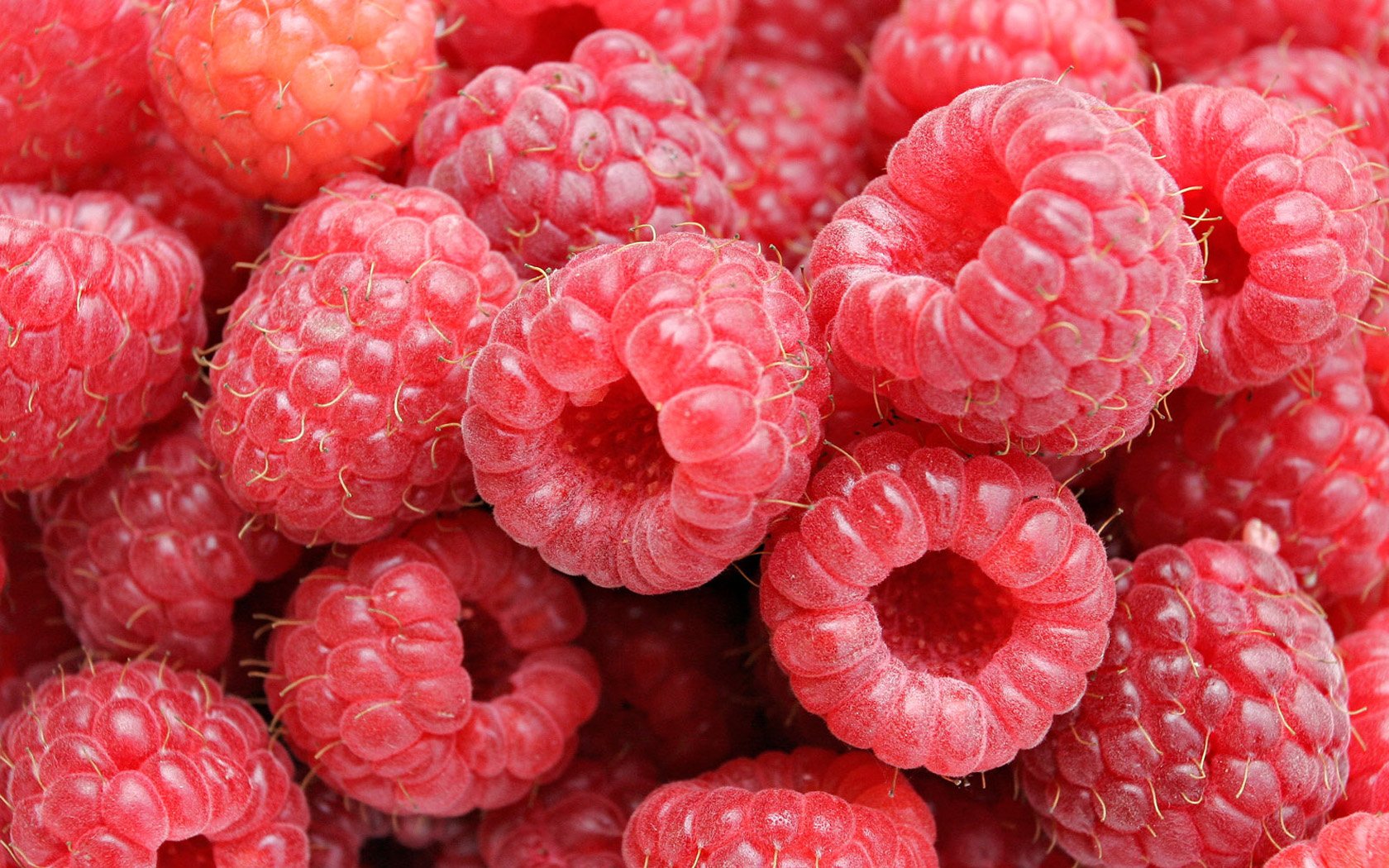 fruits, Food, Raspberries Wallpaper