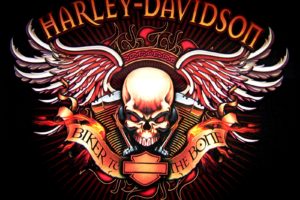 harley, Davidson, Logo, Skull, Bikes, Motorcycle