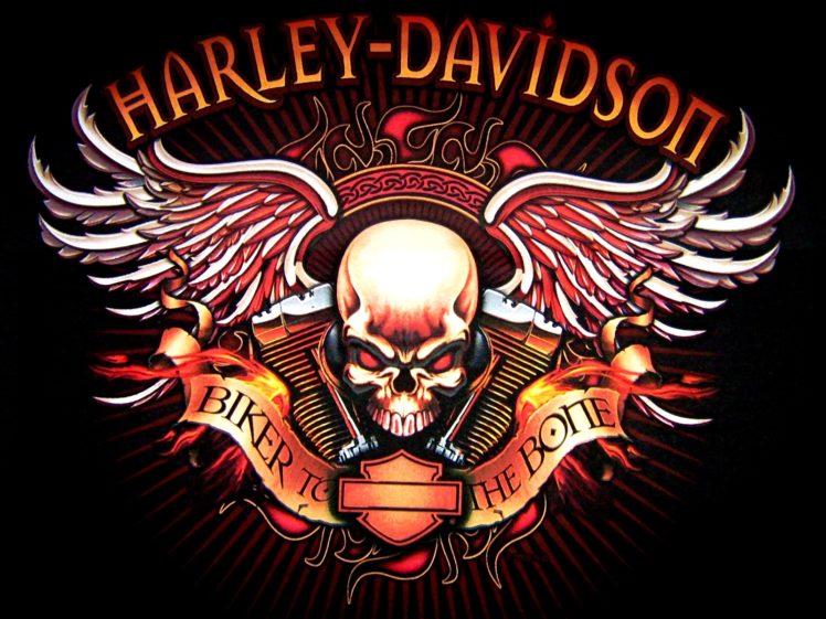 harley, Davidson, Logo, Skull, Bikes, Motorcycle HD Wallpaper Desktop Background