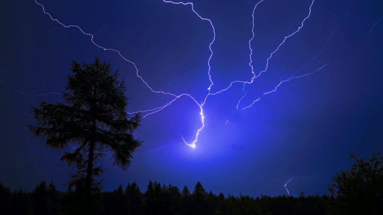 landscapes, Trees, Night, Storm, Lightning, Electric HD Wallpaper Desktop Background