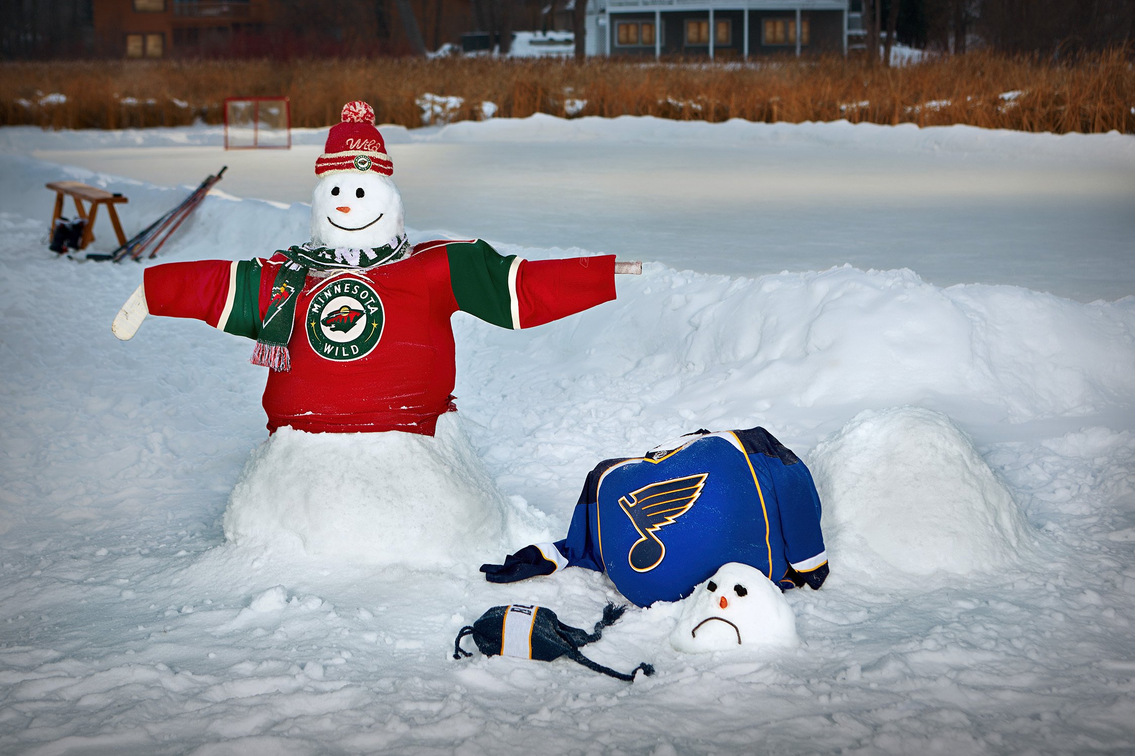 Minnesota Wild Hockey Nhl 48 Wallpapers HD Desktop And Mobile