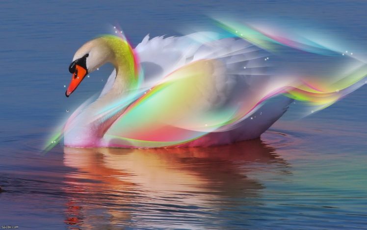 swans, Artwork HD Wallpaper Desktop Background