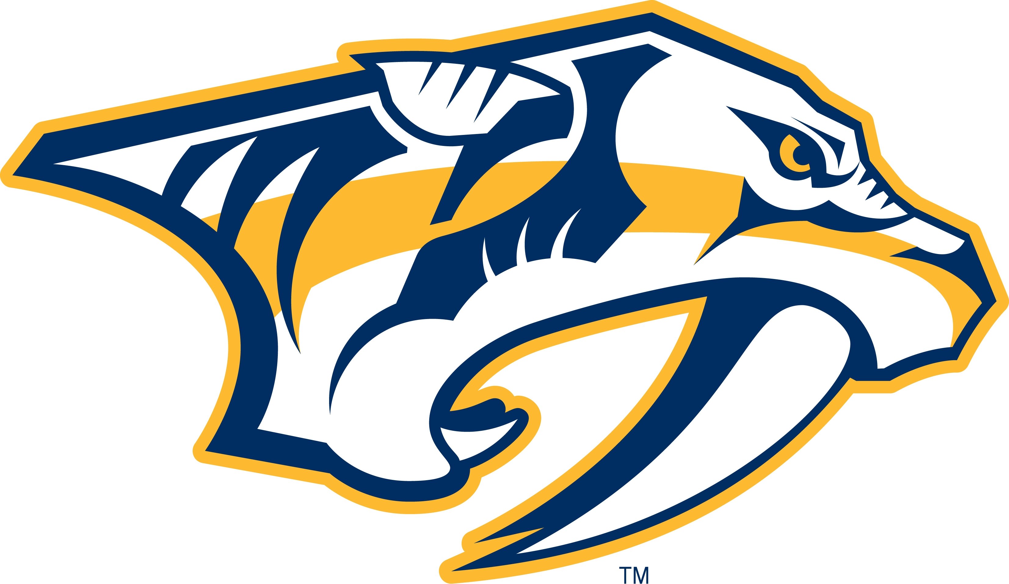 nashville, Predators, Nhl, Hockey,  17 Wallpaper