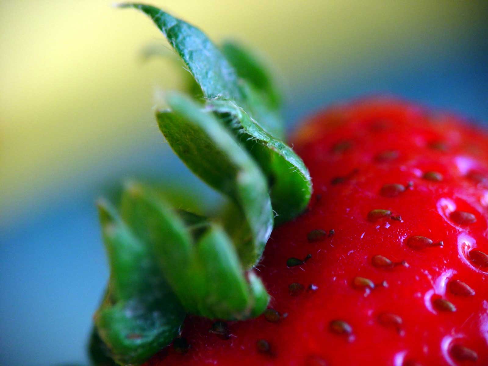 strawberries Wallpaper