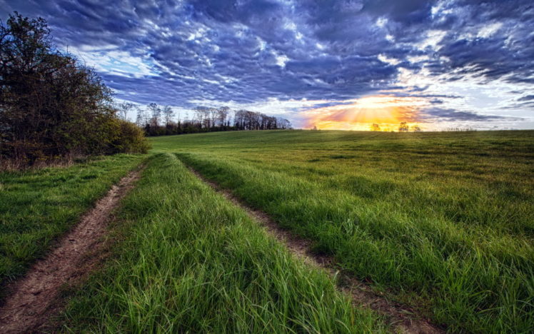 roads, Fields, Grass, Sky, Clouds, Sunset, Sunrise, Hdr HD Wallpaper Desktop Background