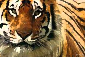 animals, Tigers, Artwork