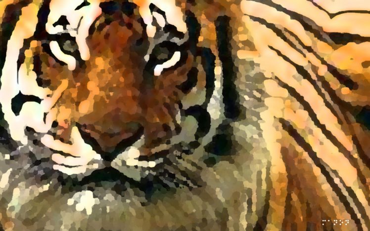 animals, Tigers, Artwork HD Wallpaper Desktop Background