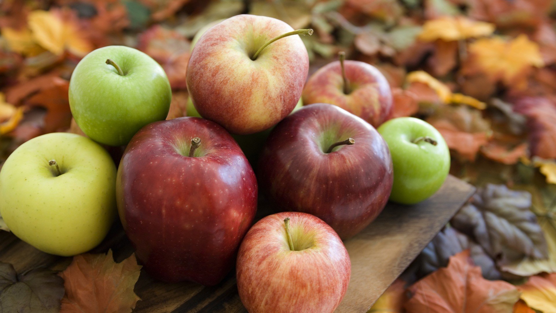 autumn, Apples Wallpaper