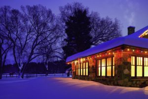 christmas, Cottage