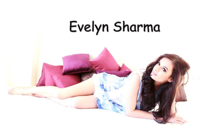 evelyn, Sharma, German, Indian, Actress, Model, Babe,  36 HD Wallpaper Desktop Background