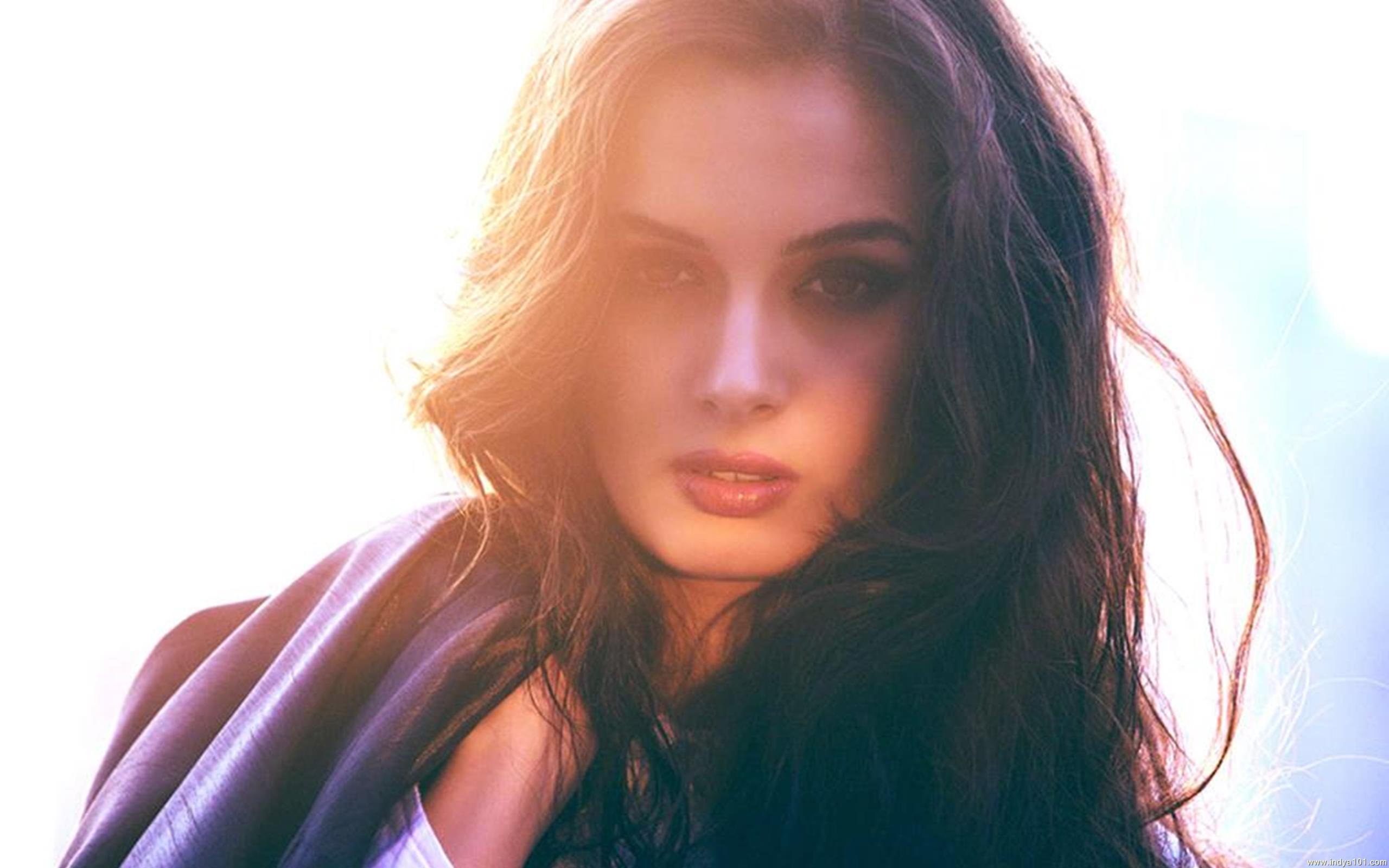 evelyn, Sharma, German, Indian, Actress, Model, Babe,  81 Wallpaper